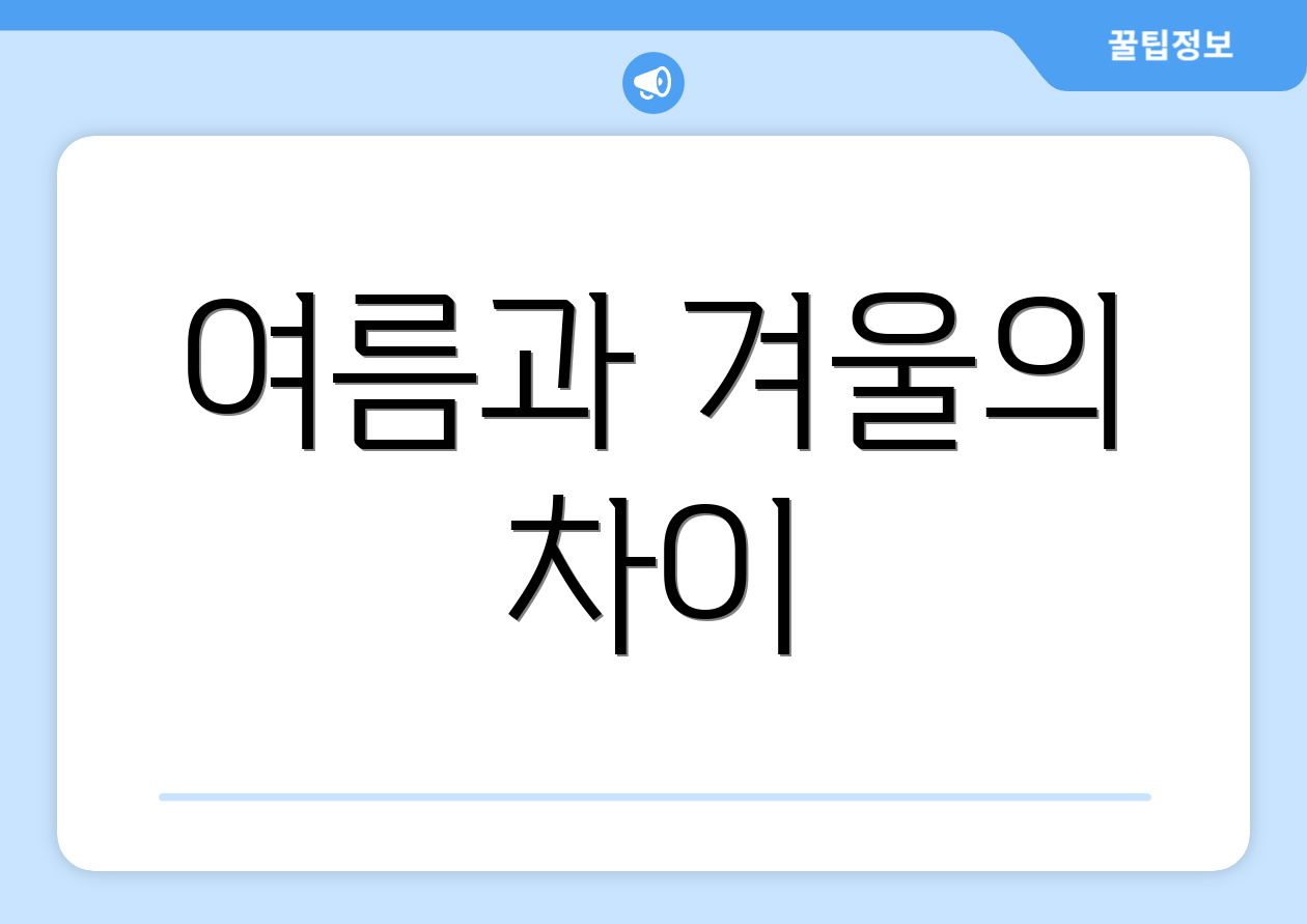 여름과 겨울의 차이