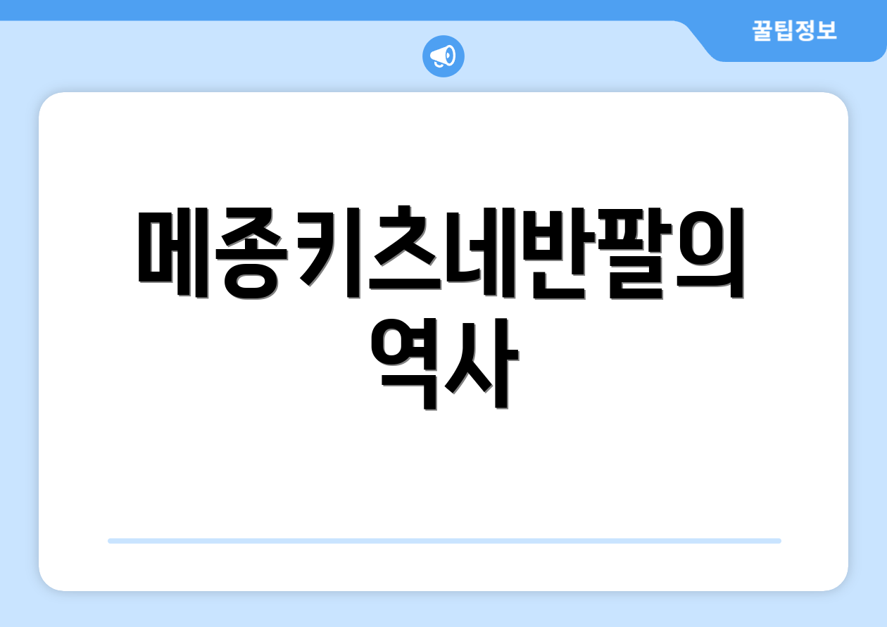 메종키츠네반팔의 역사